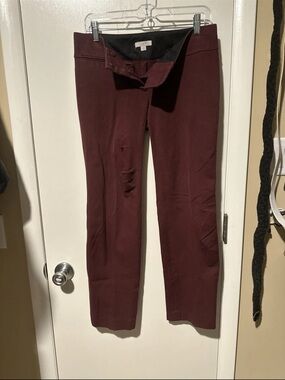 LOFT Burgundy Straight Leg Pants